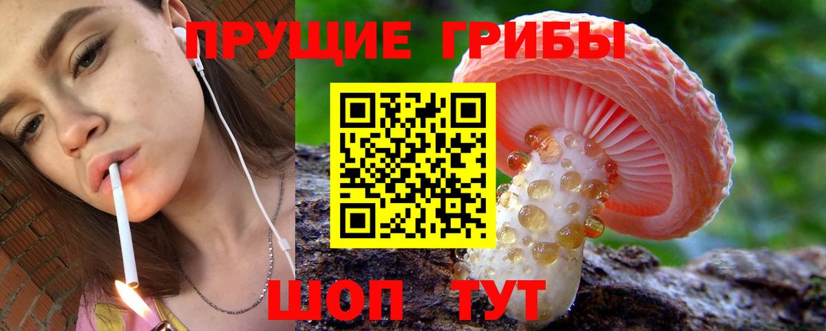 Галлюциногенные грибы прущие грибы  Псилоцибиновые грибы ЛСД  Вход с VPN  Лесозаводск 